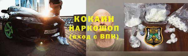 гашик Майский