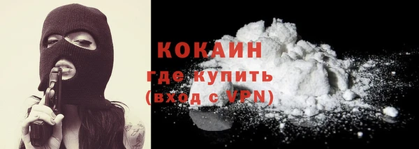 гашик Майский