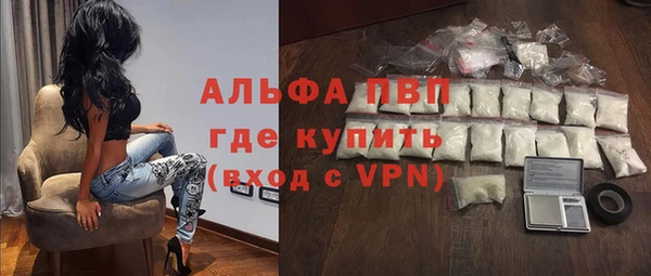 гашик Майский