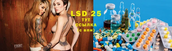 гашик Майский