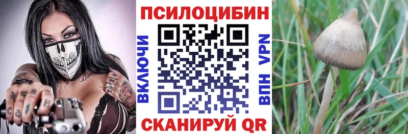 Псилоцибиновые грибы ЛСД Грозный