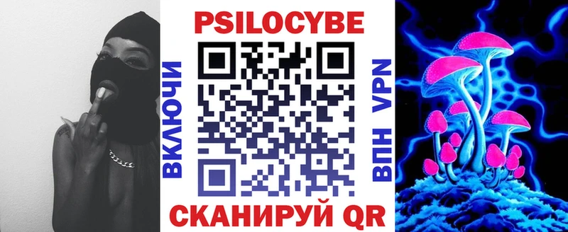 Псилоцибиновые грибы Psilocybe  Грозный 
