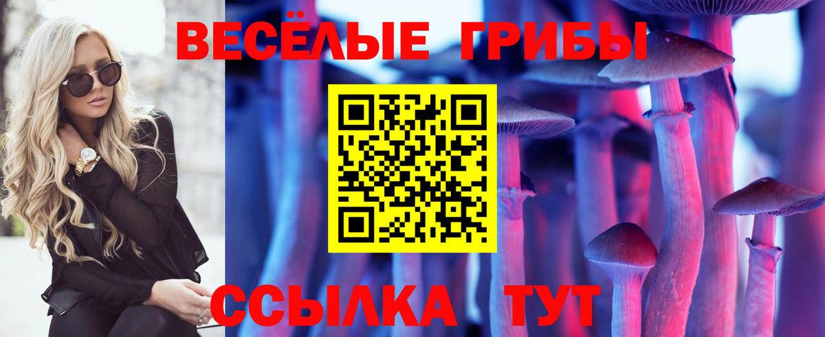 Псилоцибиновые грибы MAGIC MUSHROOMS  Вход с VPN  Грозный 
