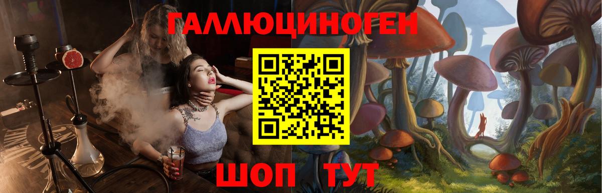 Псилоцибиновые грибы GOLDEN TEACHER Грозный