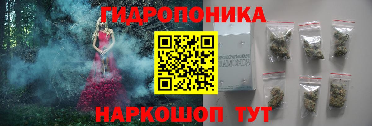 Конопля White Widow  Канабис конопля  Вход с VPN  Каннабис AK-47  Грозный 